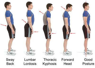 Body Language Posture